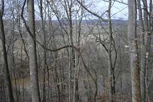Hunting land in Fluvanna County VA