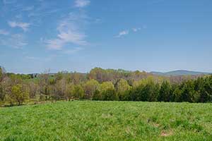 Large Virginia Farm for Sale 