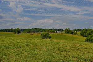 Madison County Virginia Cattle Farm for sale
