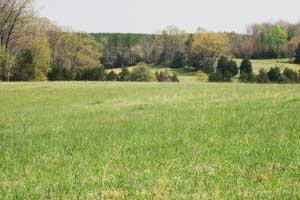 Orange County Va Farm for Sale Orange County Virginia Farm