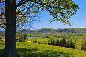Nelson County Virginia Land for sale
