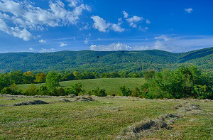 Virginia Farm for Sale