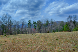 Albemarle County Land for Sale