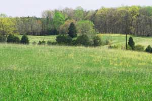 Orange County Va Farm for Sale